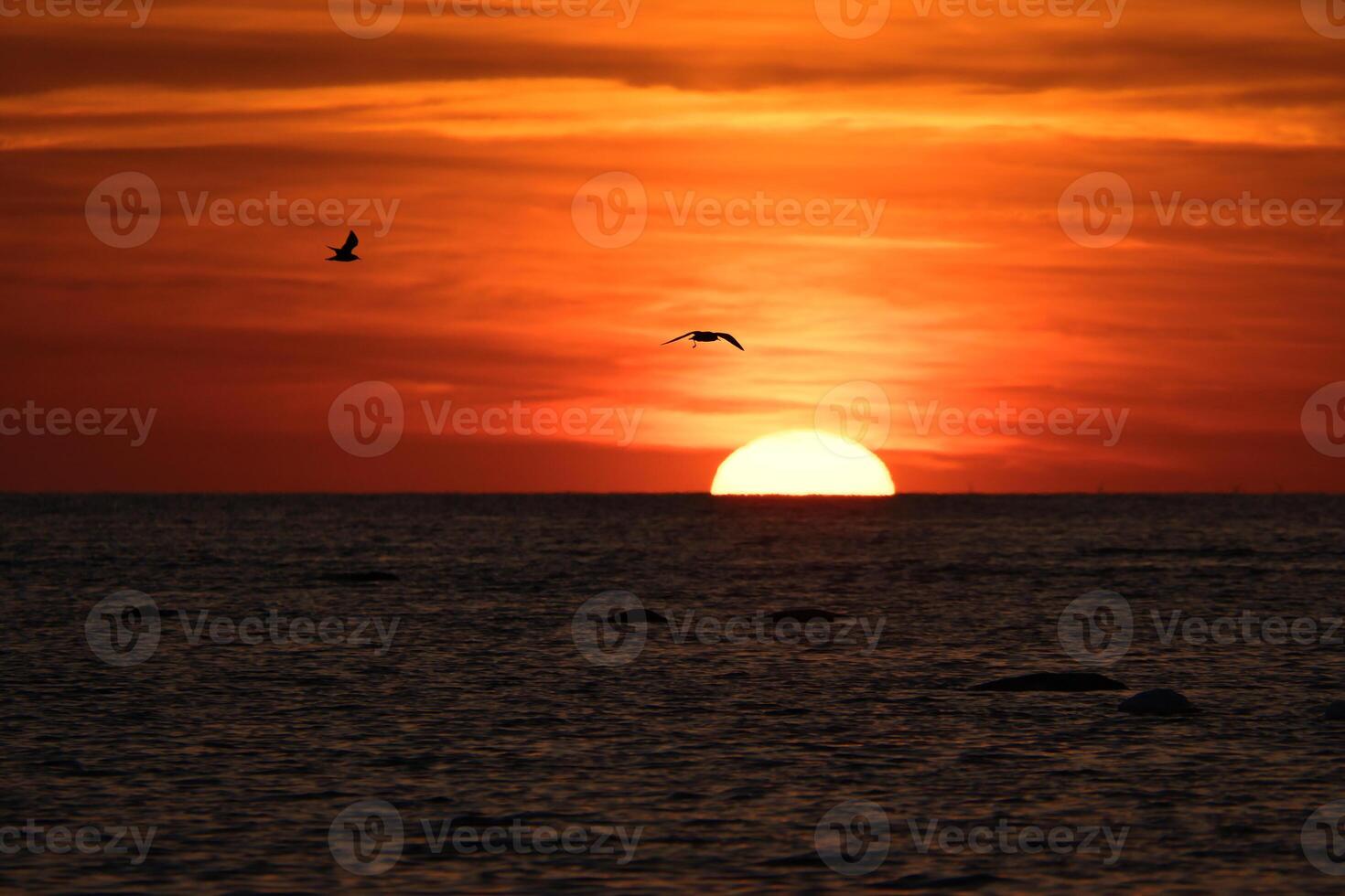 puesta de sol en el horizonte de el báltico mar. naranja Dom se hunde dentro el agua. romántico foto