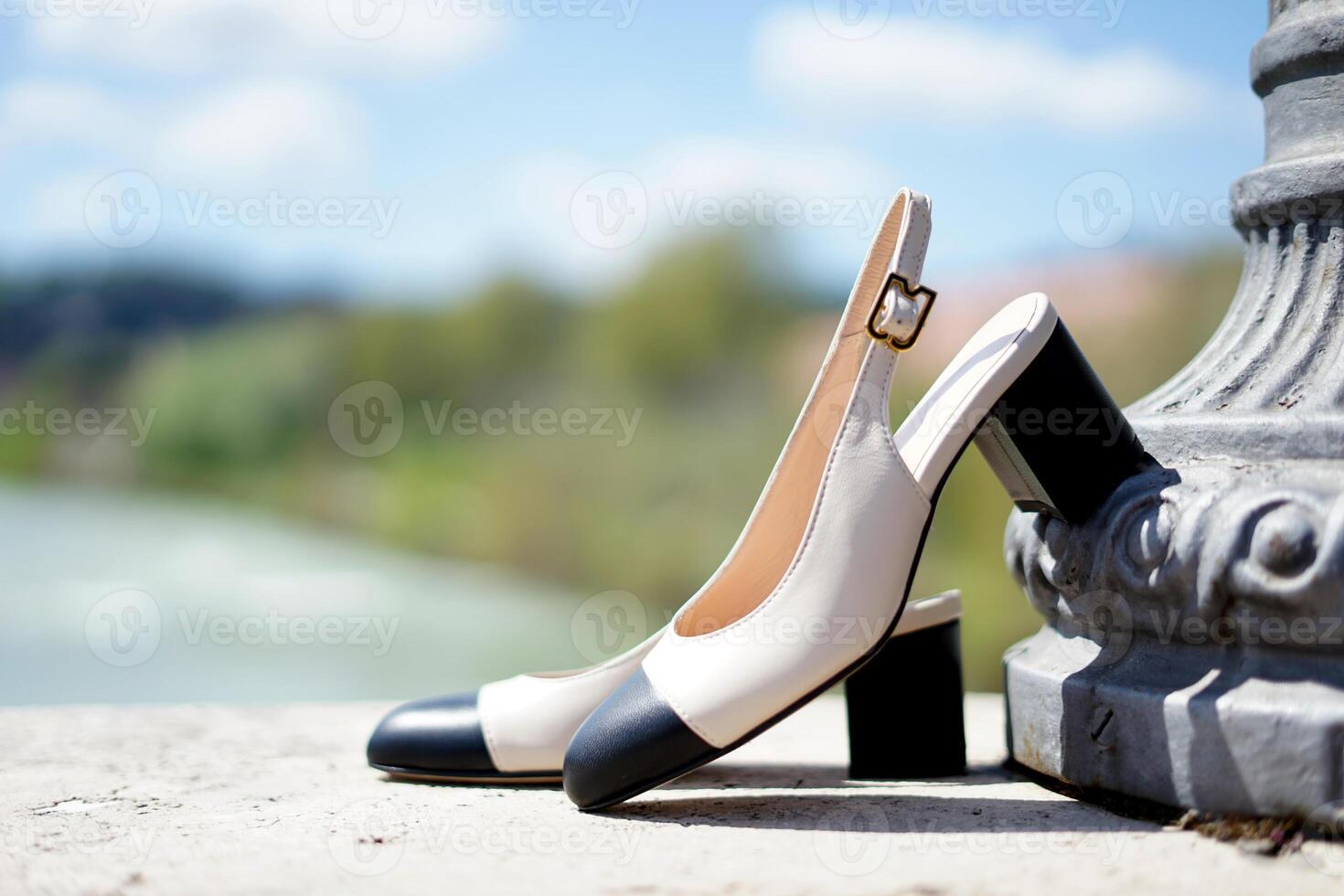 elegante mujer Zapatos un Moda estilo foto