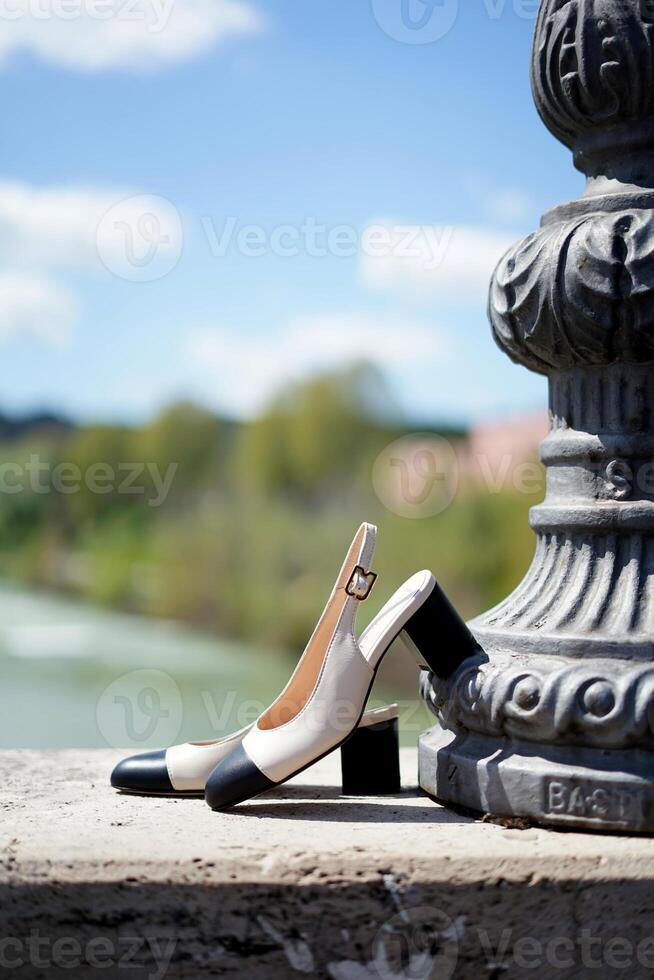 calzado estilo concepto con elegante mujer Zapatos foto