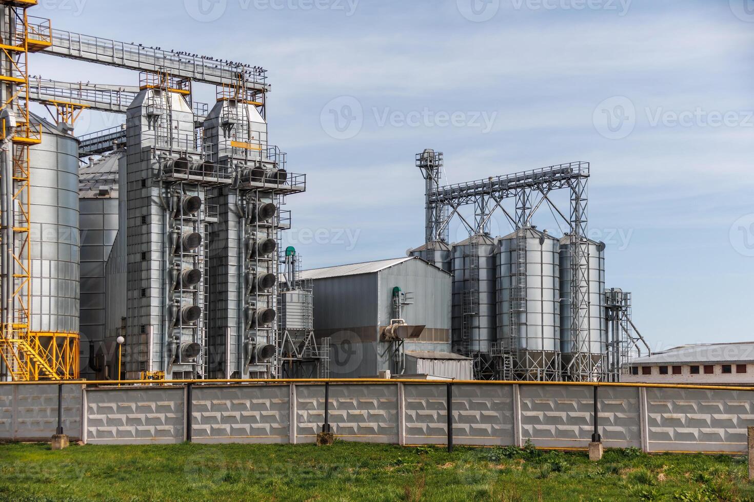 silos granary elevator on agro-industrial complex with seed cleaning and drying line for grain storage photo