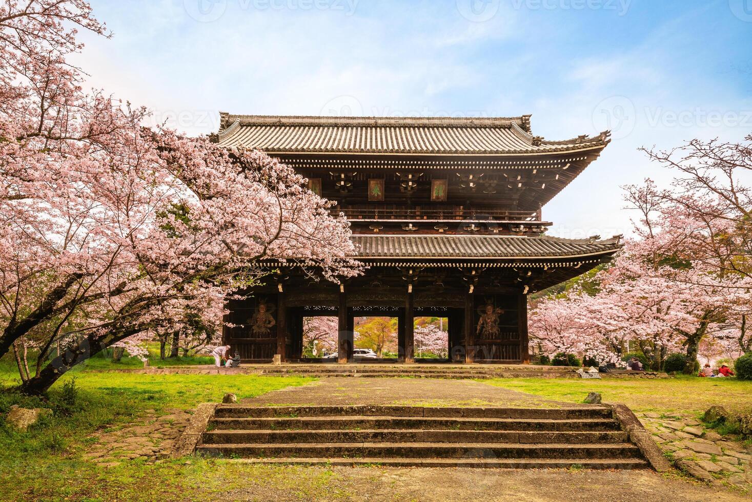 Daimon of Negoro ji temple in Iwade city of Wakayama, Kansai, Japan. photo