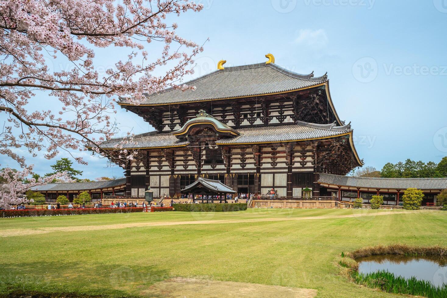 Great Buddha Hall of todaiji with cherry blossom in nara, japan photo