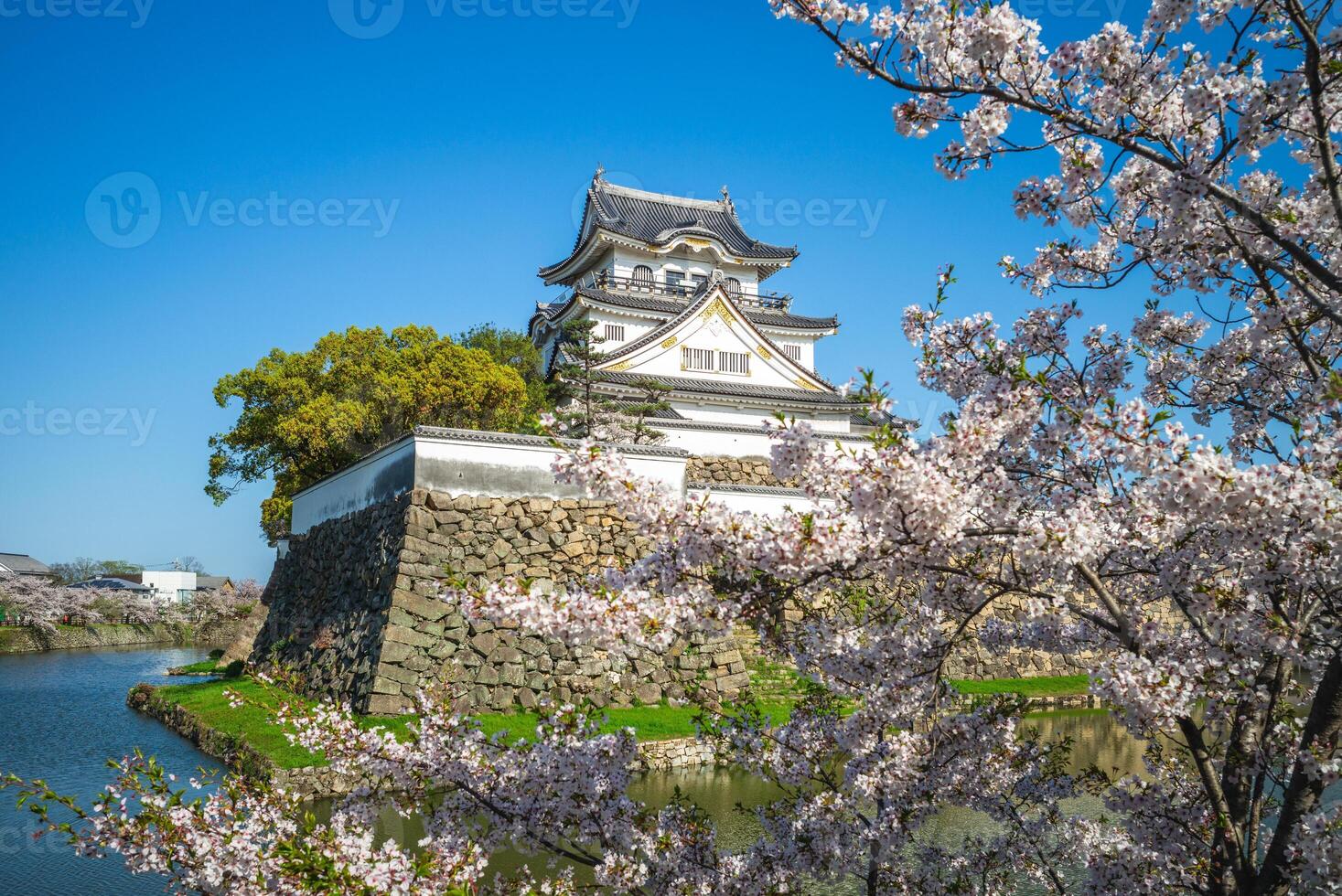 kishiwada castillo, un japonés castillo situado en kishiwada ciudad, osaka, Japón. foto