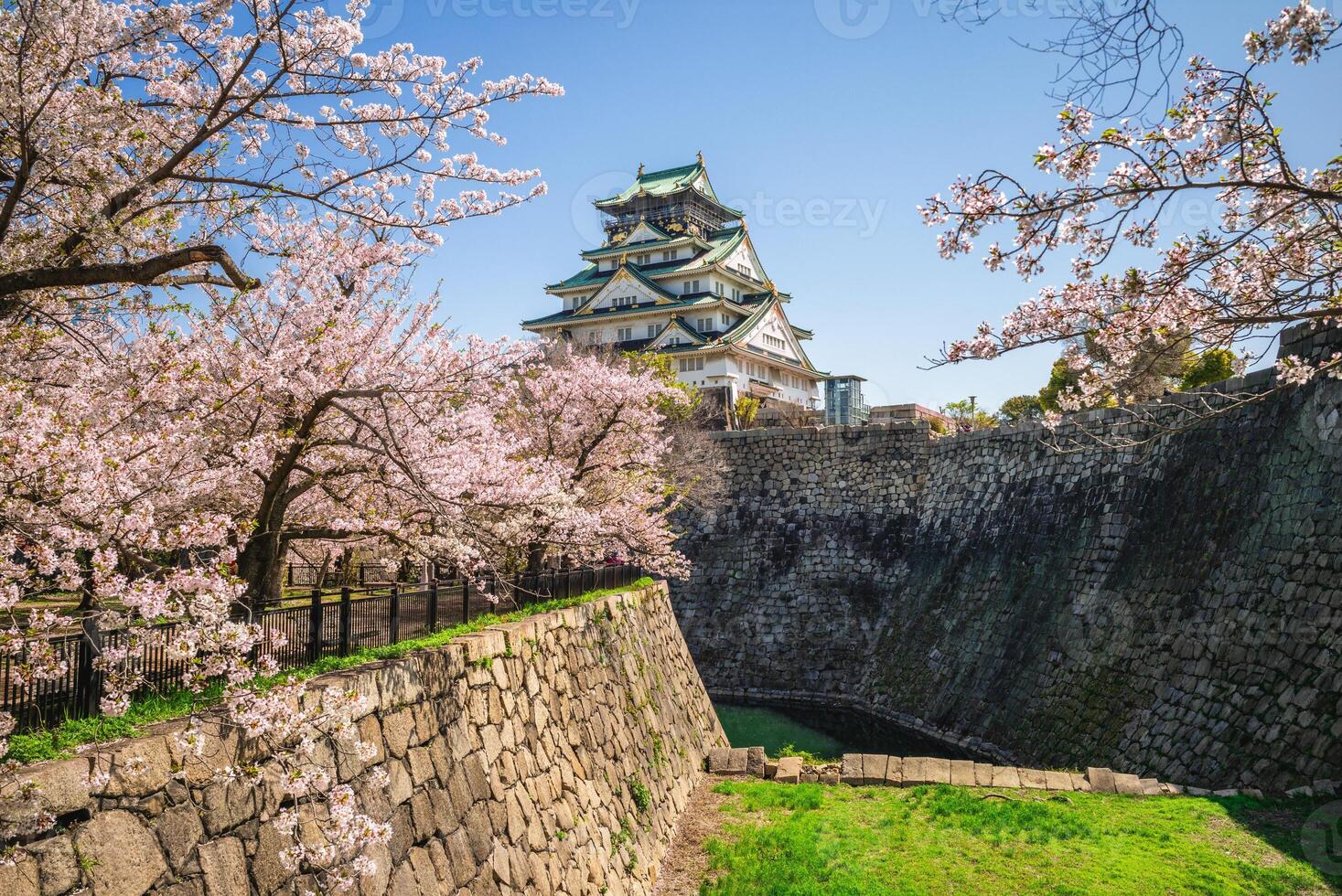 nishinomaru jardín de el Osaka castillo a Osaka ciudad en Japón foto