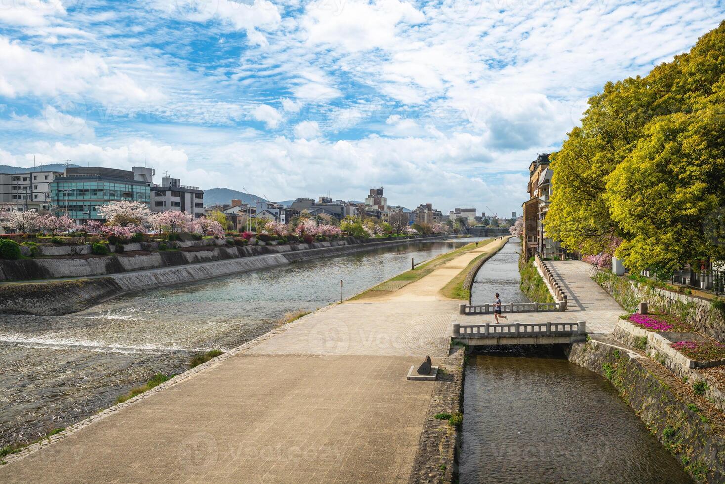 Cereza flores a lo largo el kamo río en Kioto ciudad, kansái, Japón foto