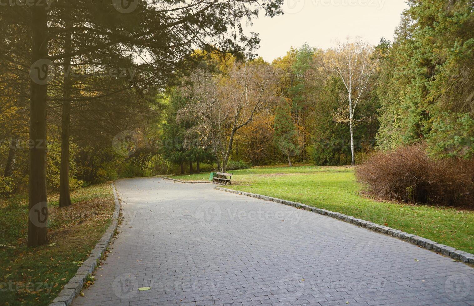 Beautiful Nature Autumn landscape. Scenery view on autumn city park with golden yellow foliage in cloudy day photo