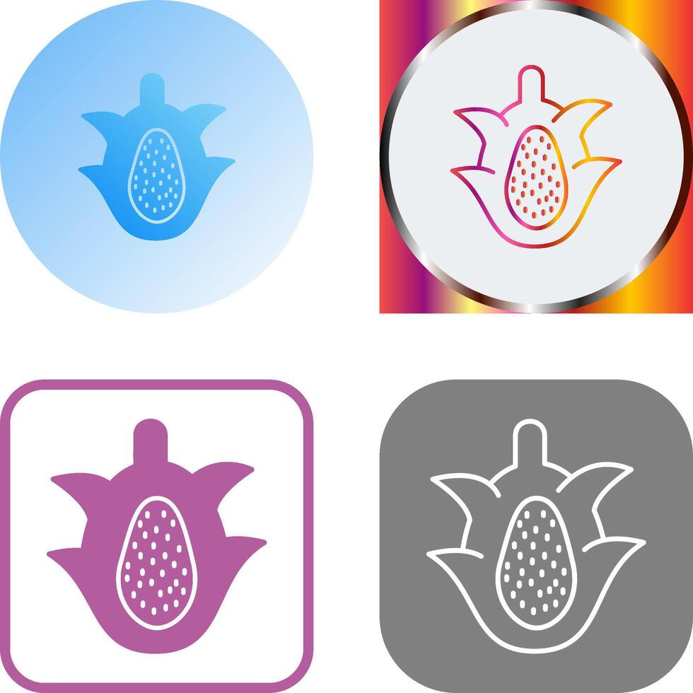 Dragon Fruit Icon Design vector