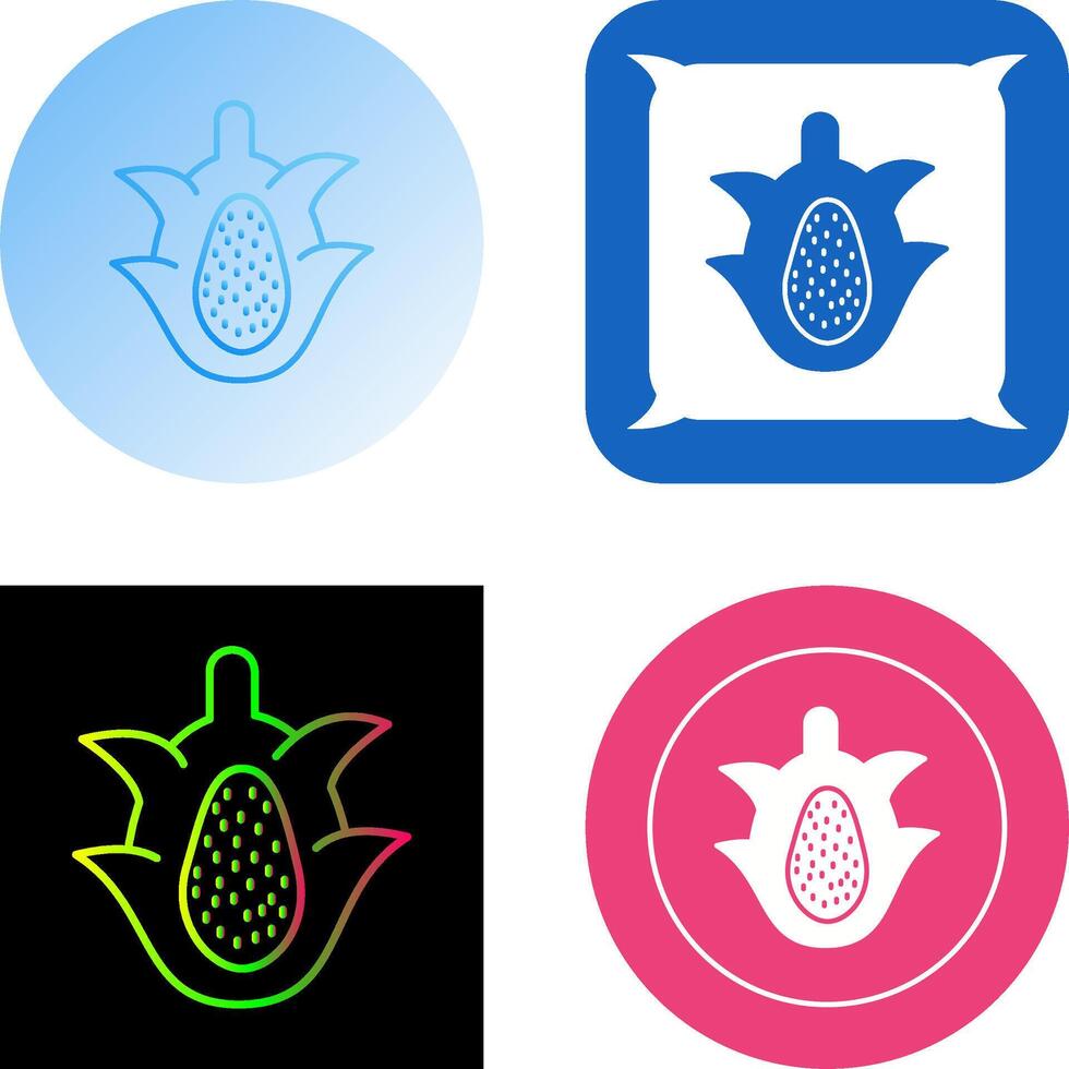 Dragon Fruit Icon Design vector