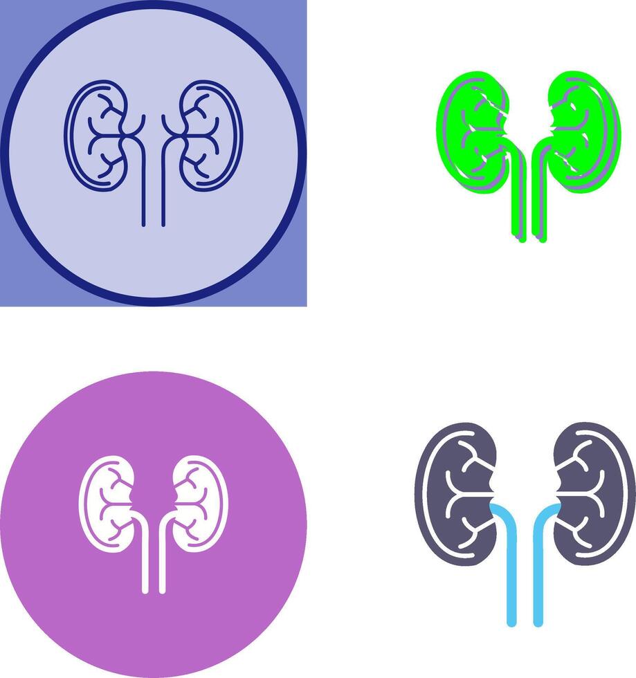 Kidney Icon Design vector