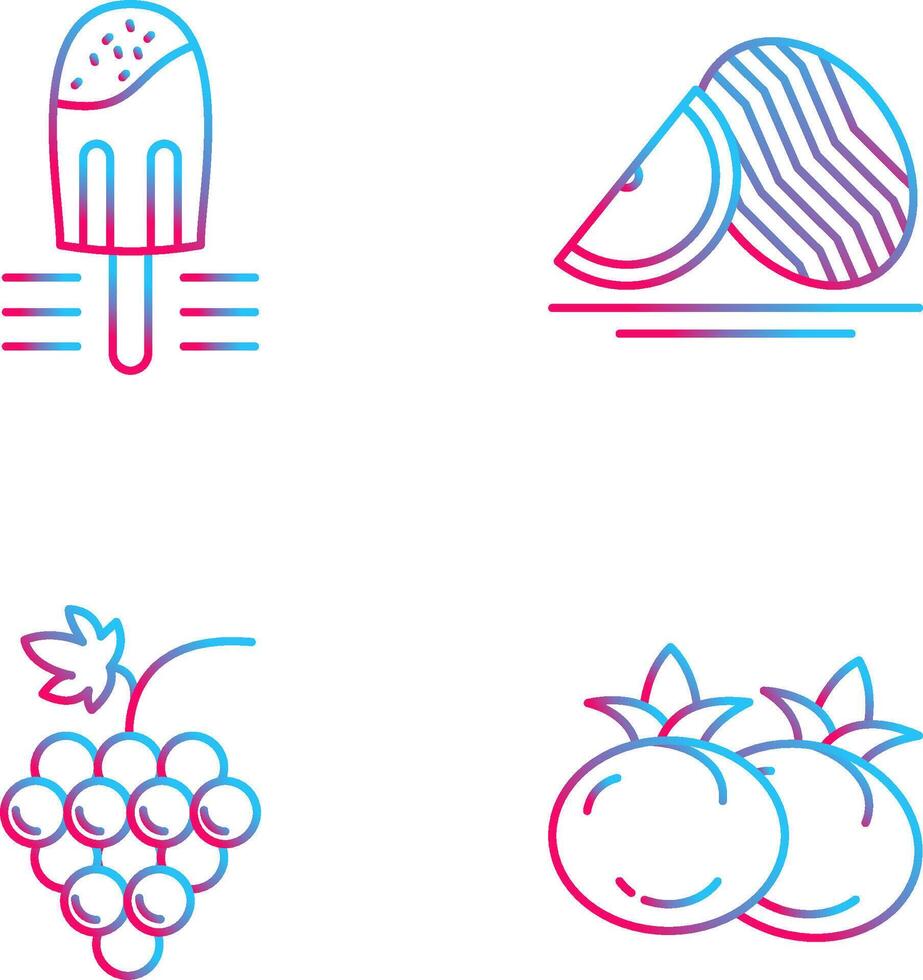 Popsicle and Watermelon Icon vector
