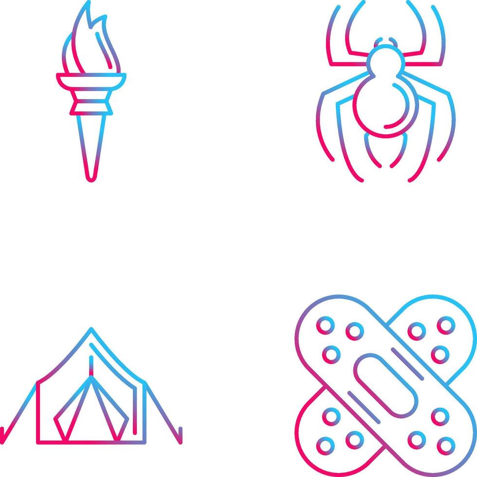 Torch and Spider Icon vector