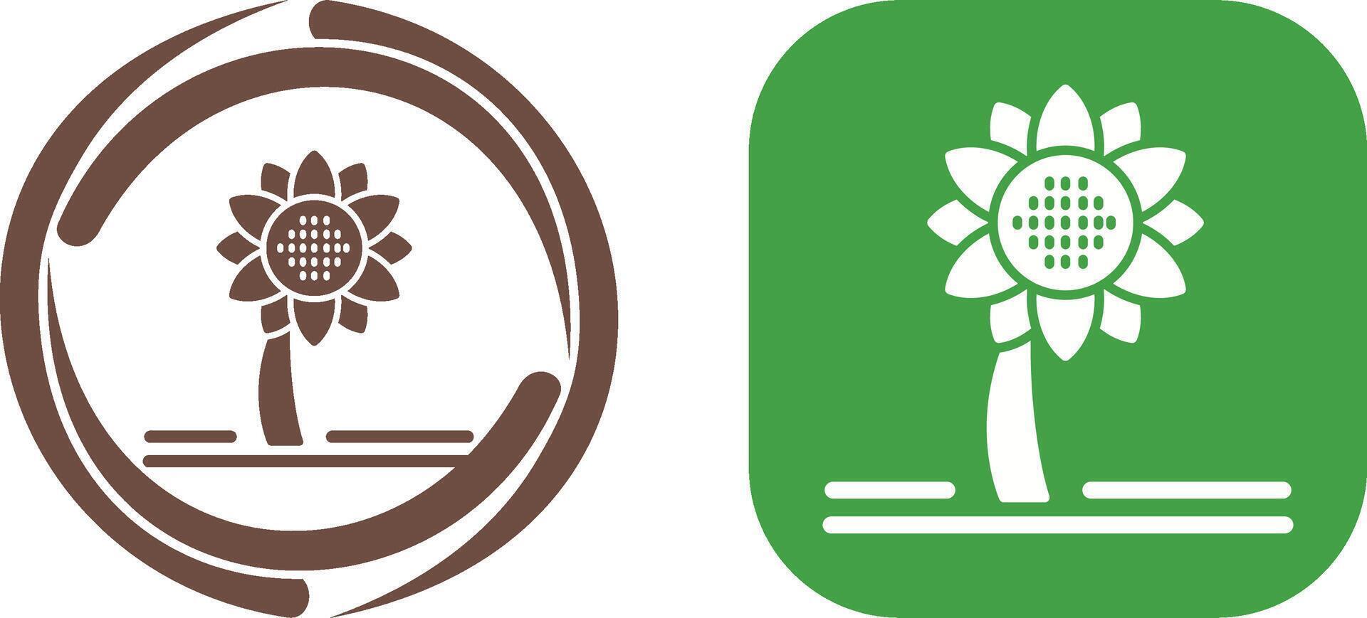 Sunflower Icon Design vector