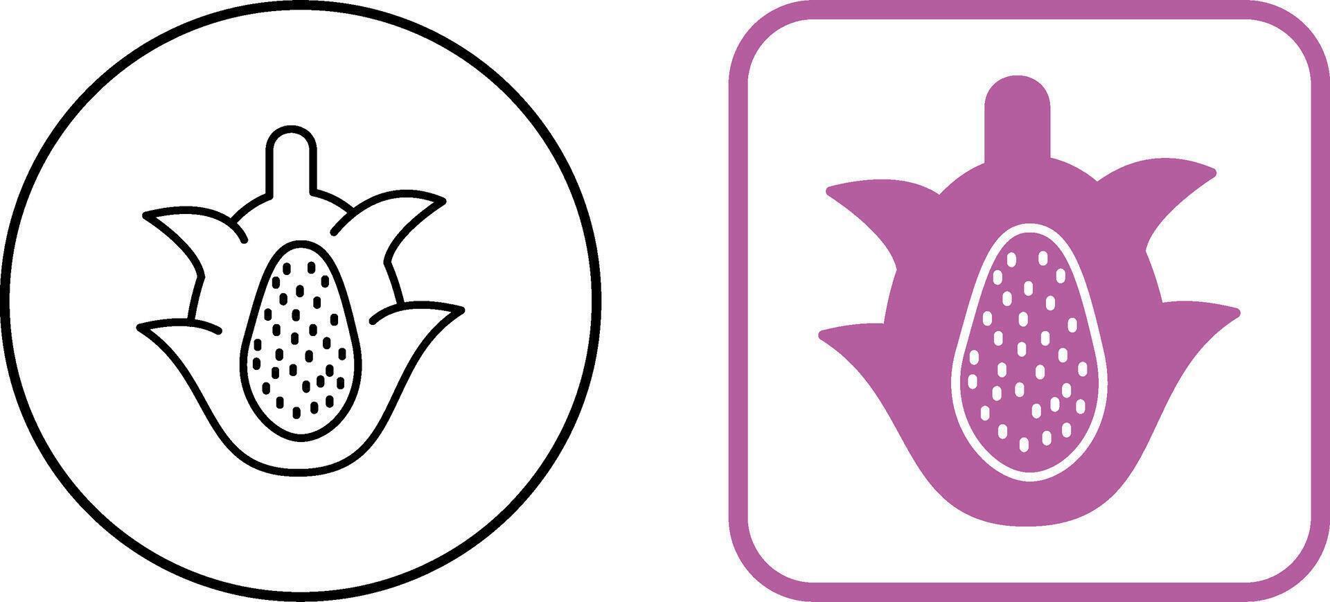 Dragon Fruit Icon Design vector