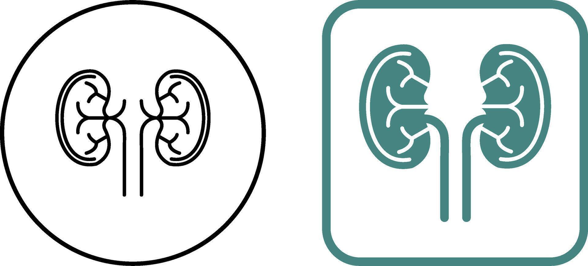 Kidney Icon Design vector