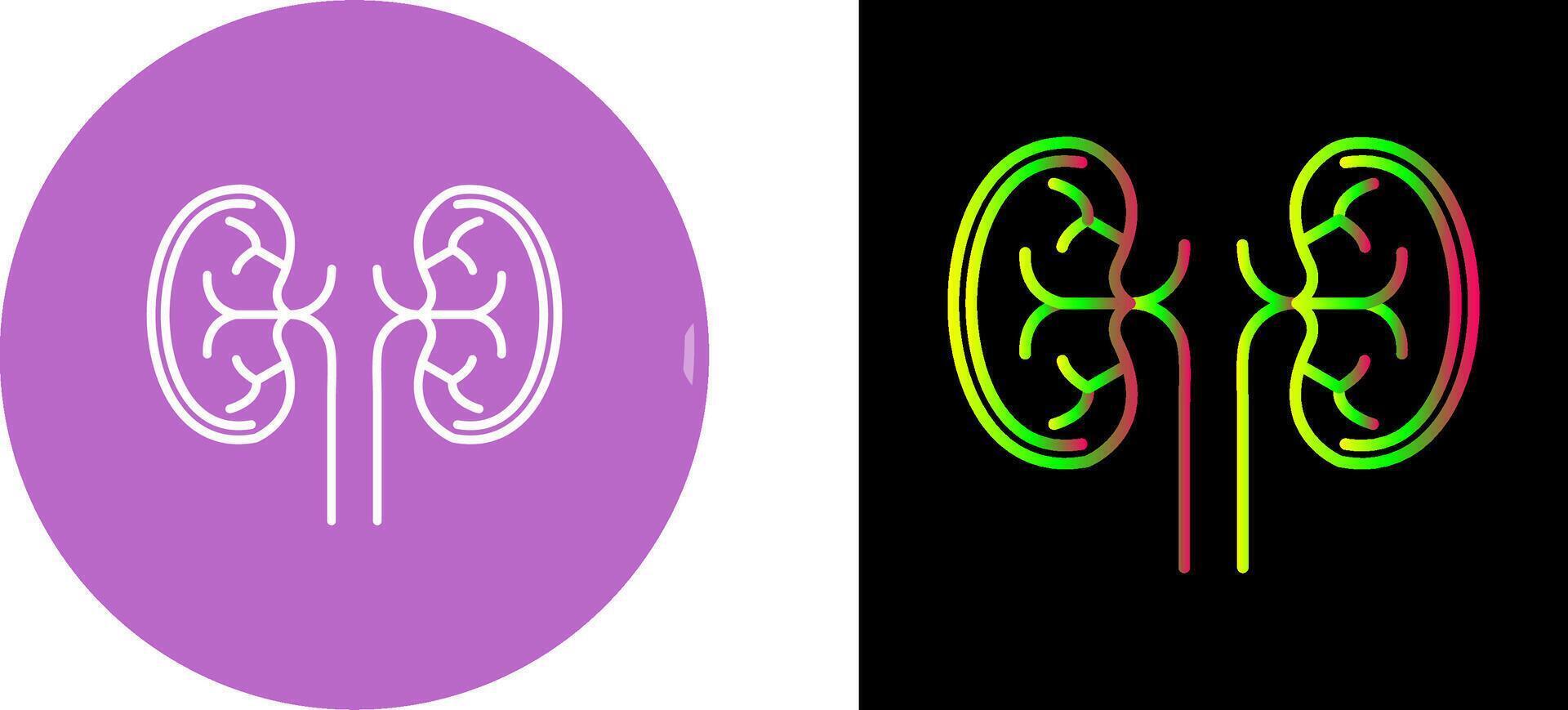 Kidney Icon Design vector
