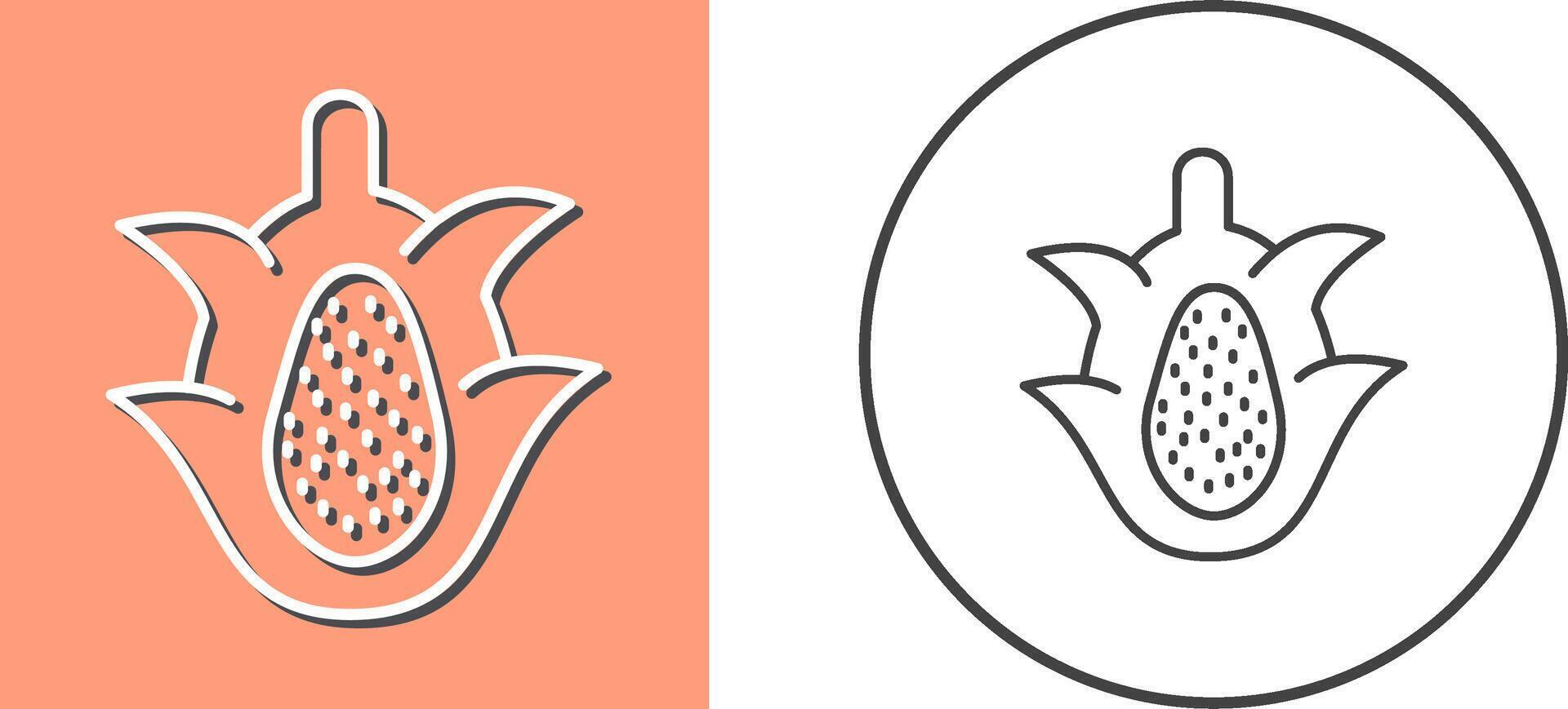 Dragon Fruit Icon Design vector
