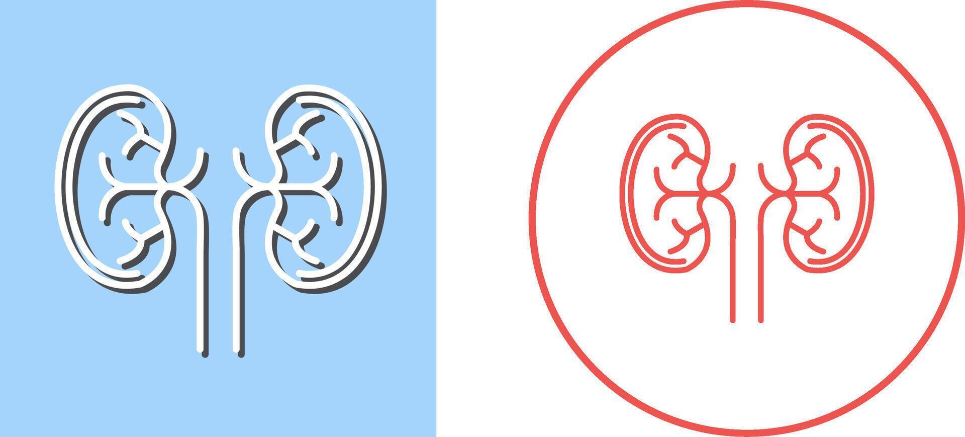 Kidney Icon Design vector