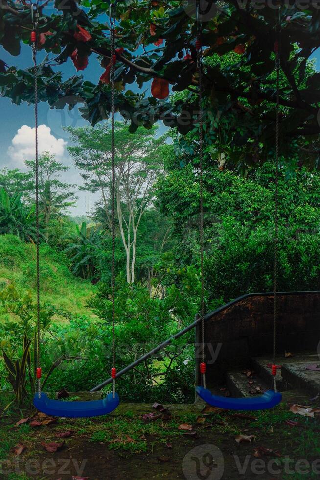 A close-up view of two swings tied between the trees, the concept of a children's play area. photo