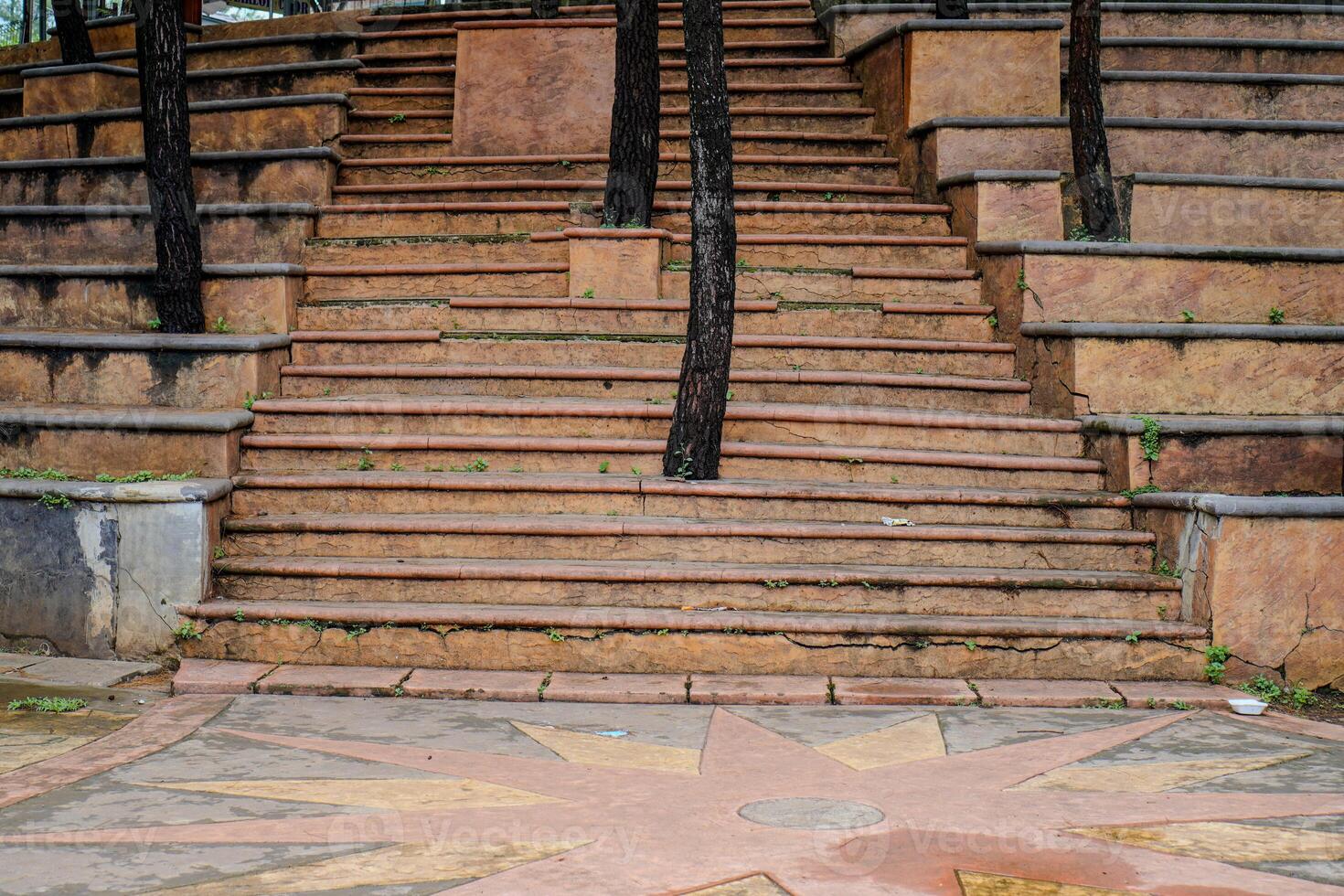 trees growing on the steps of a city park. photo