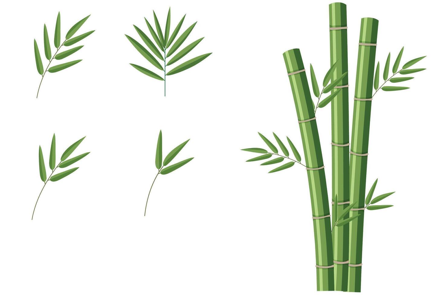 Green bamboo stems and leaves isolated on white background vector