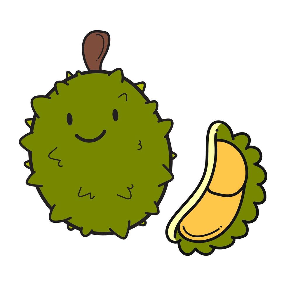 Durian fruit. Durian cartoon. Durian on white background. for poster, banner, web, icon, mascot, background. Hand drawn. illustration vector