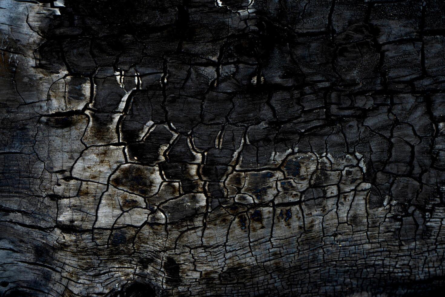 Close up Surface of charcoal photo