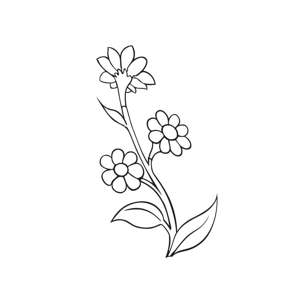 Chamomile, daisy plant. A flower is drawn in black and white on a white background vector