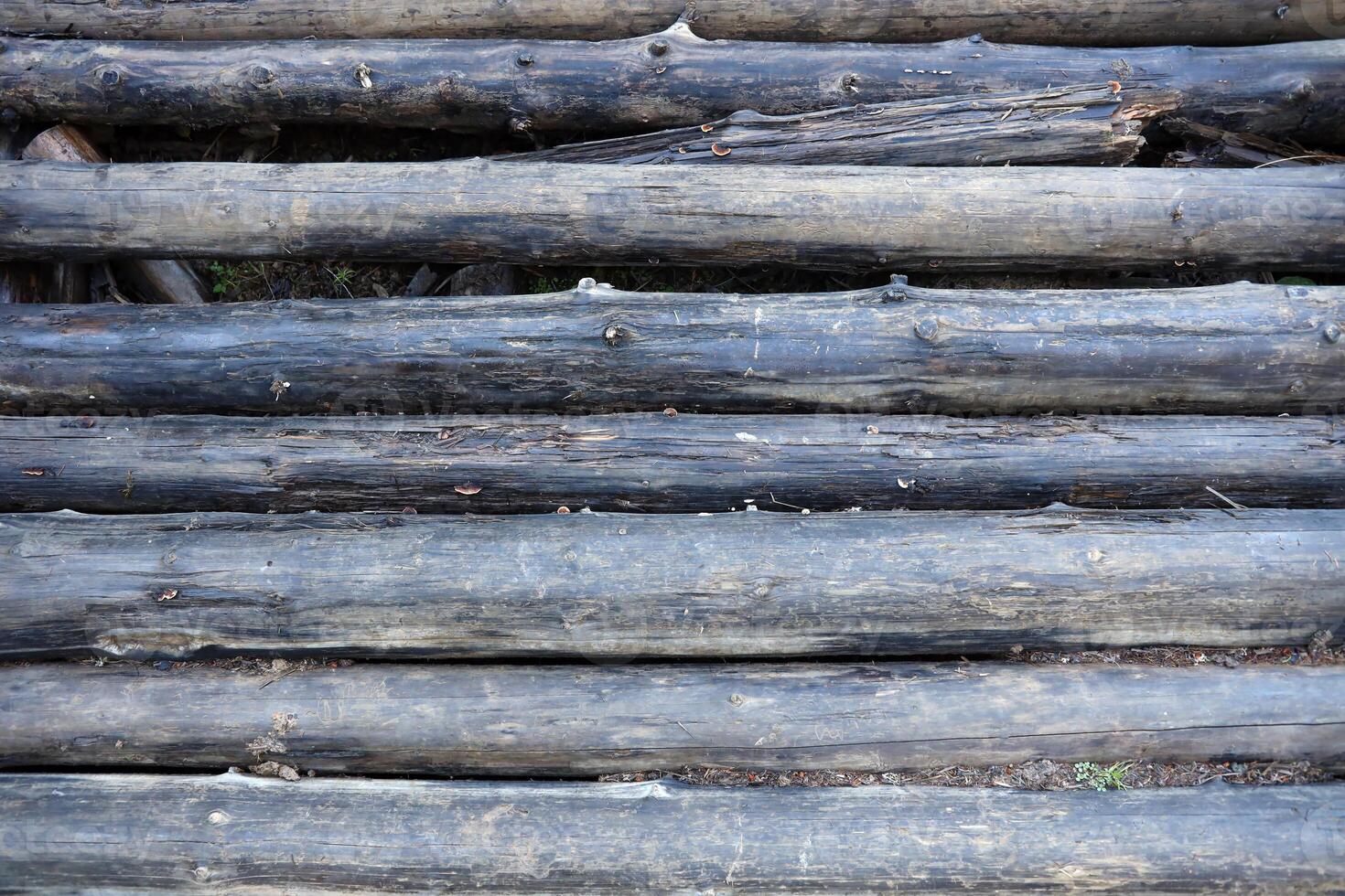 Log Cabin Or Barn Unpainted Debarked Wall Textured Horizontal Background photo