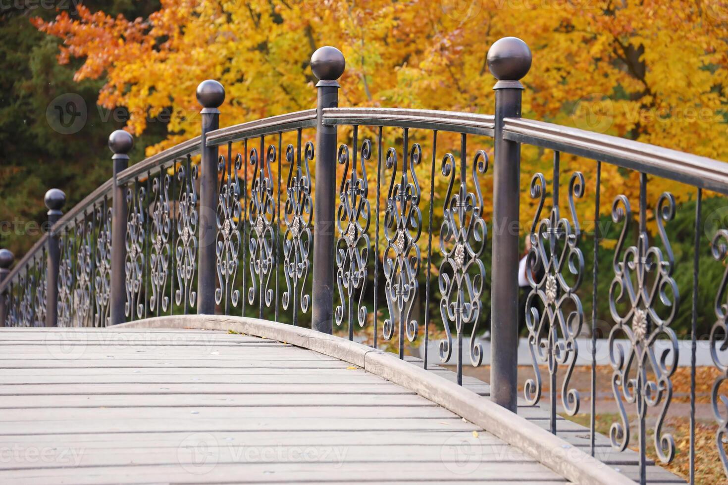 Beautiful Nature Autumn landscape with small bridge. Scenery view on autumn city park with golden yellow foliage in cloudy day photo