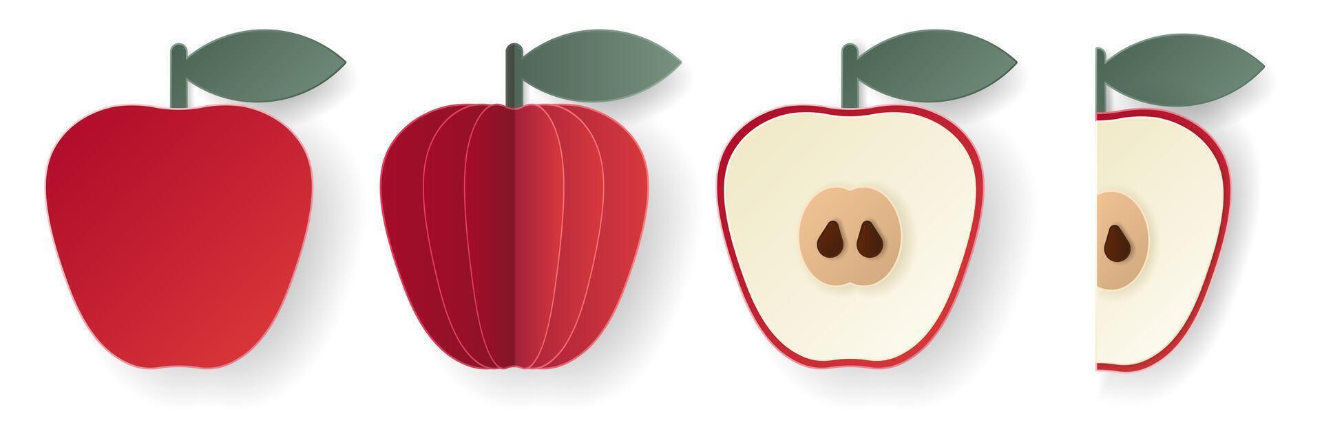 Set of 3d papercut apple sliced cutout pome fruit. Summer layered fruits. Juicy food elements for restaurant, food, drinks, bars, recipes, summer, sweets, vegan, social media, presentation design. vector