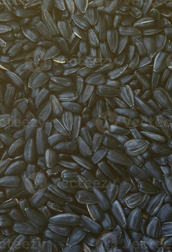 A pattern of many unprocessed fried sunflower seeds in a black shell. photo