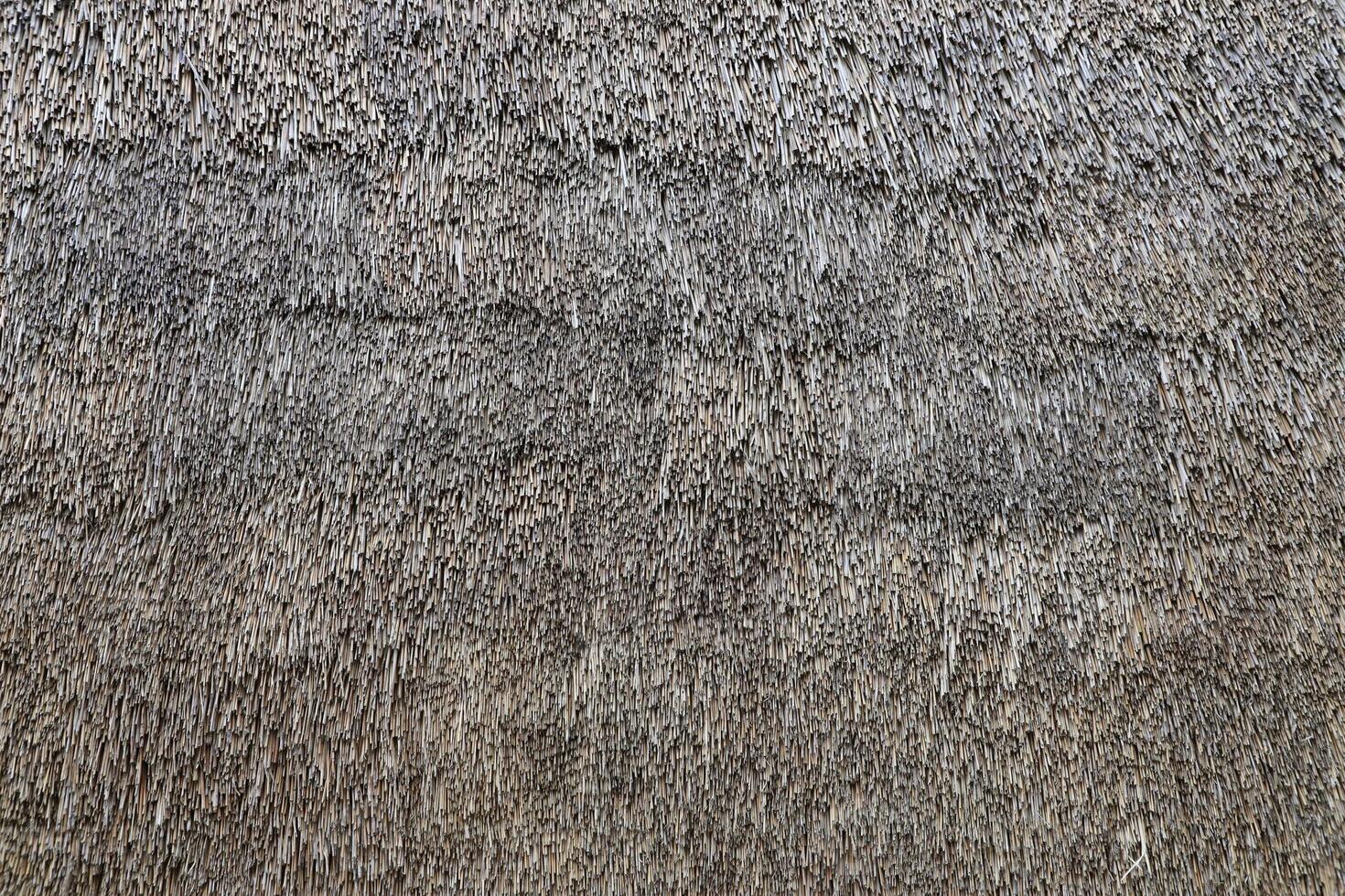 Texture of hay bale background or dry grass background. Textured hay bale background for countryside, rural area photo