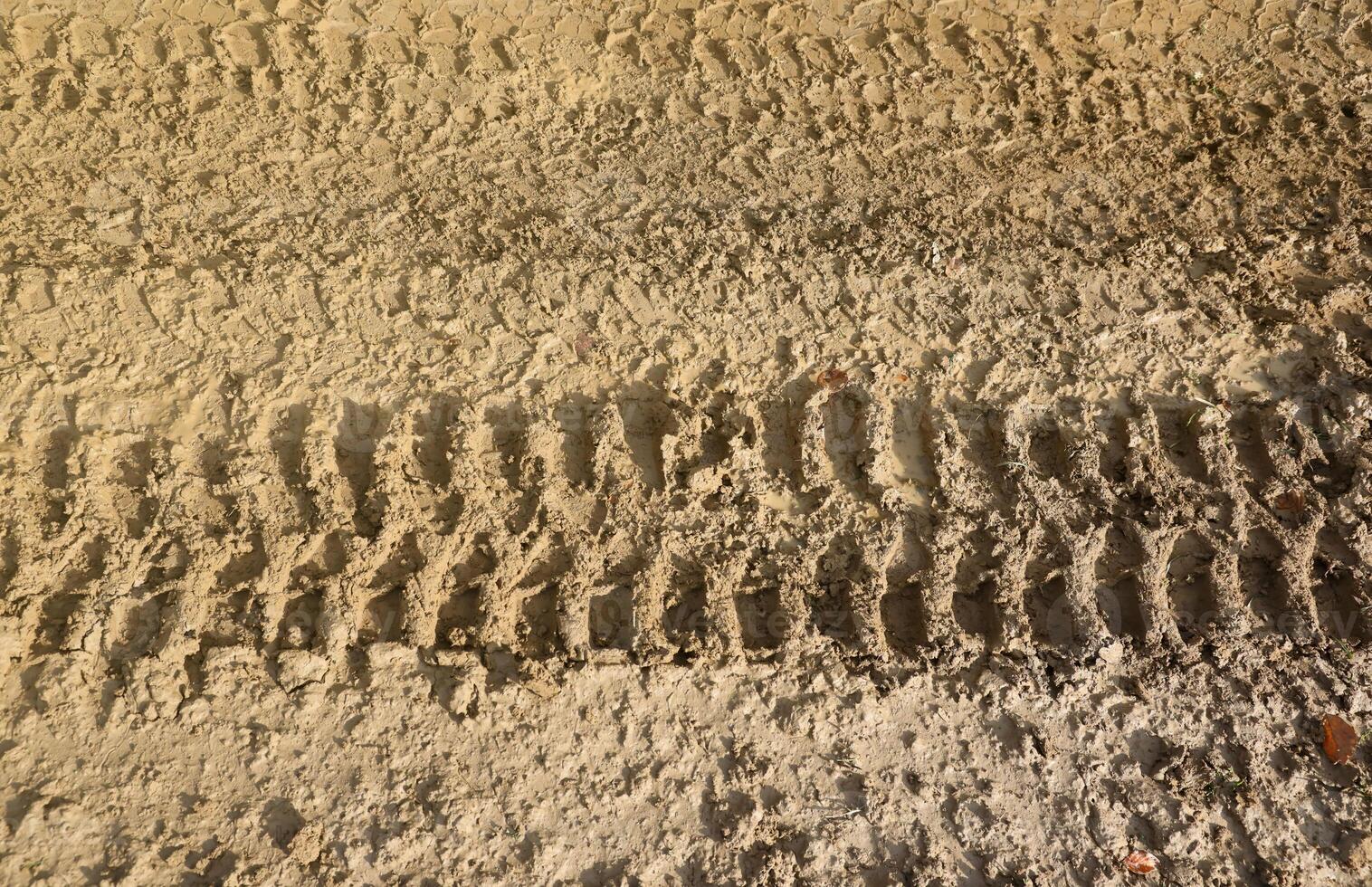 Wheel track on mud. Traces of a tractor or heavy off-road car on brown mud in wet meadow photo
