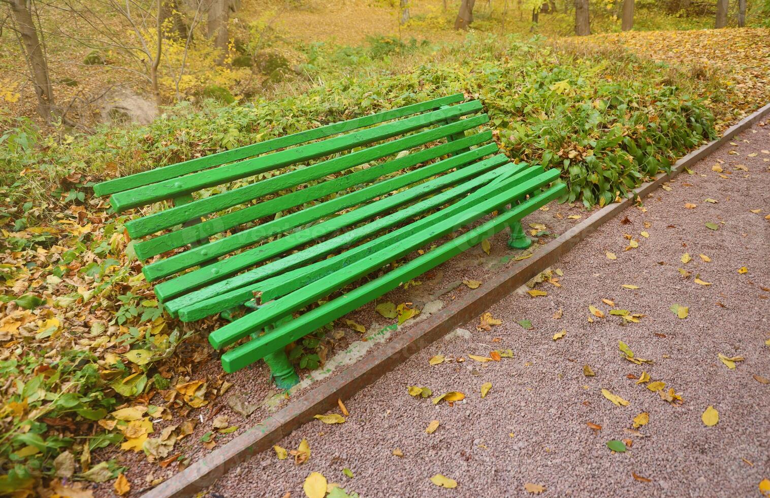 Beautiful Nature Autumn landscape. Scenery view on autumn city park with golden yellow foliage in cloudy day photo