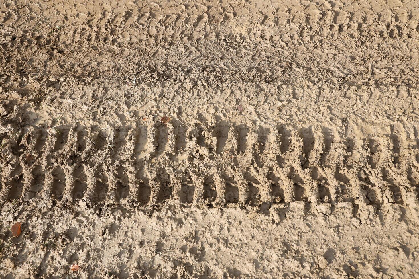 Wheel track on mud. Traces of a tractor or heavy off-road car on brown mud in wet meadow photo