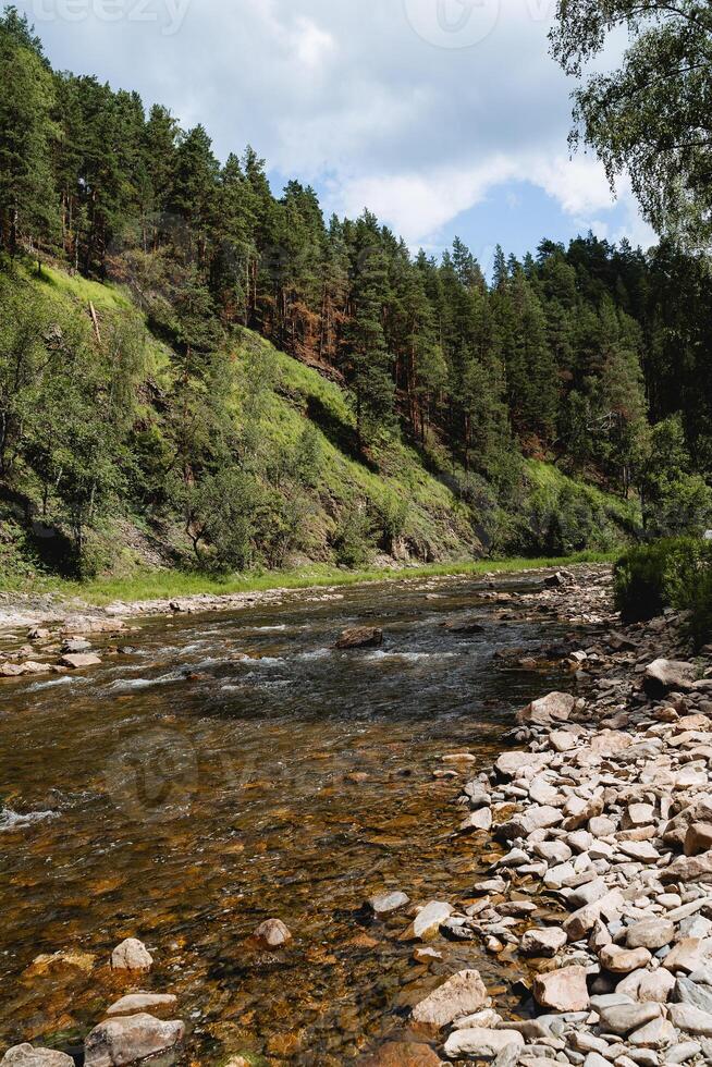 el montaña corriente es lleno con agua, un soleado día, un taiga paisaje, el naturaleza de Rusia, un montaña río, un Roca canal, un verde bosque, un Guijarro banco, un vado a través de el río. foto