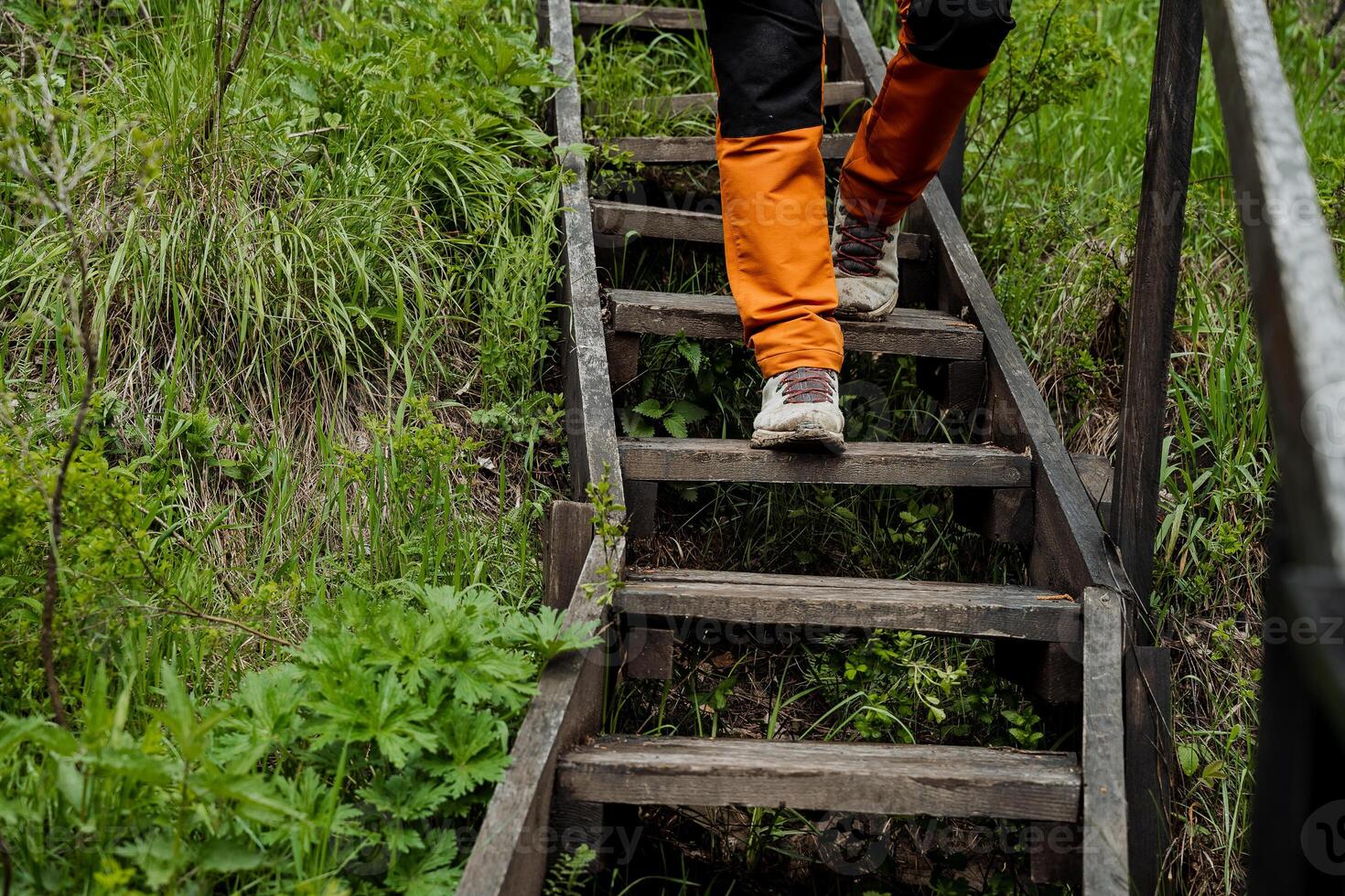 excursionismo zapatos, de madera escalera en naturaleza, de cerca pies, caminando pasos en el bosque, trekking zapatos, senderismo. foto