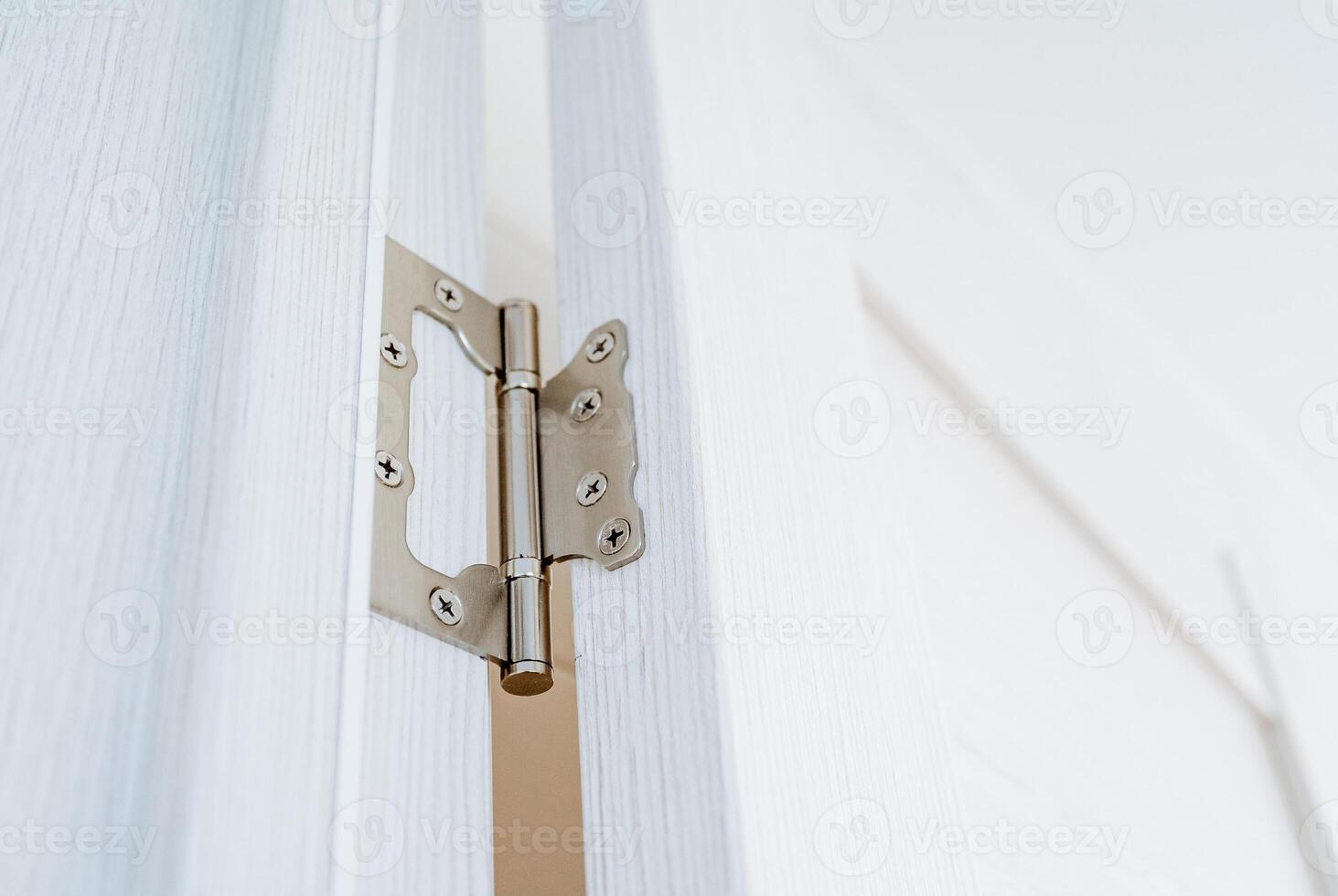 The door hinge is cut into the base of the doorway, the installation details of wooden doors, chrome elements of the interior. photo