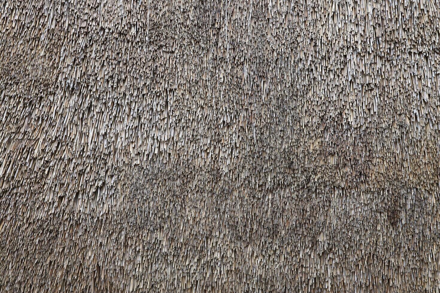 Texture of hay bale background or dry grass background. Textured hay bale background for countryside, rural area photo
