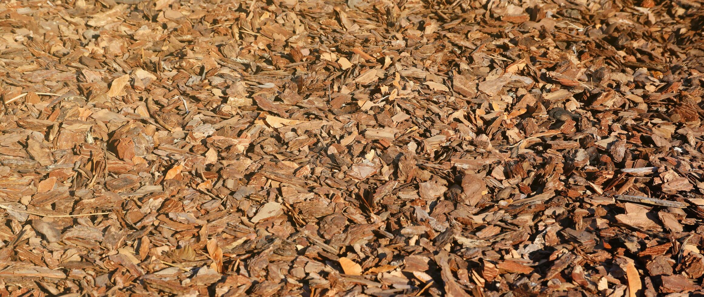 Full frame closeup of brown mulch used for gardening and landscape decoration. Texture of Birch mulch bark for garden. Closeup of wood chip path covering photo