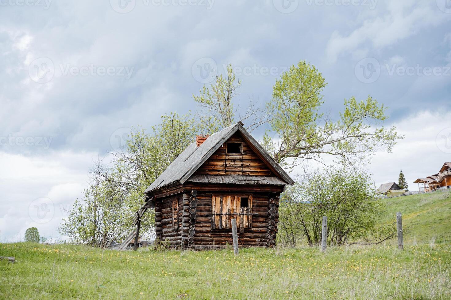 An old village house stands on the edge of the forest, abandoned housing, people abandoned the house, boarded-up windows, emptiness around, a tree growing from the roof of the house, sadness. photo