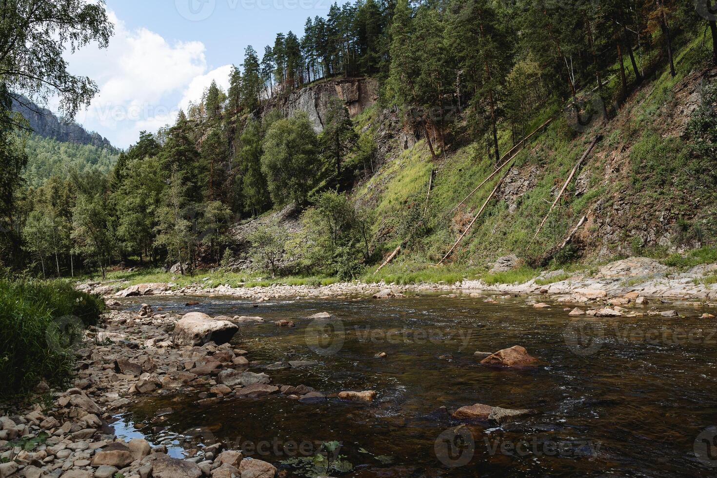 paisaje de un montaña río en contra el antecedentes de un bosque, un taiga río, un pino bosque a lo largo el bancos, piedras en el canal, un montaña arroyo, verano calor, pequeño agua, un claro día. foto