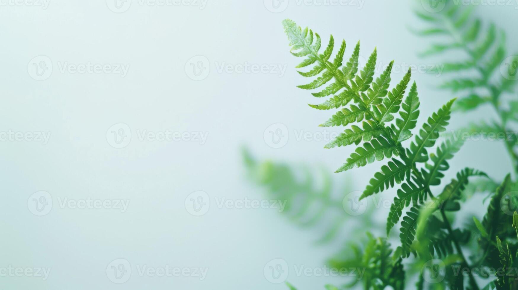 de cerca de un verde helecho planta con intrincado hoja detalles y vibrante follaje en naturaleza foto