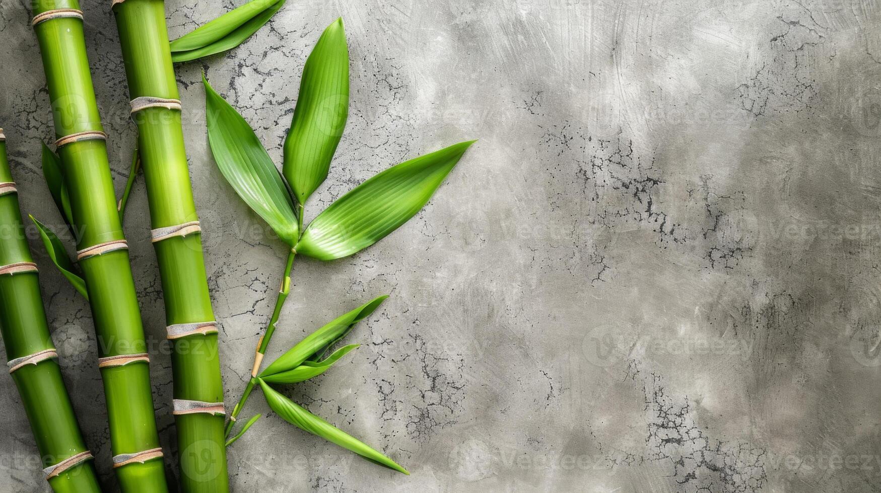 Bamboo stalks and leaves over textured green and concrete background with natural eco aesthetic photo