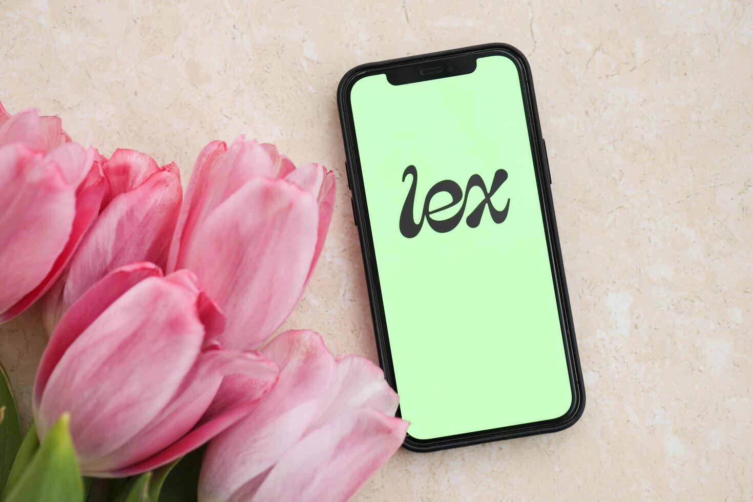 KYIV, UKRAINE - FEBRUARY 23, 2024 Lex logo of famous dating website or app on iPhone display photo