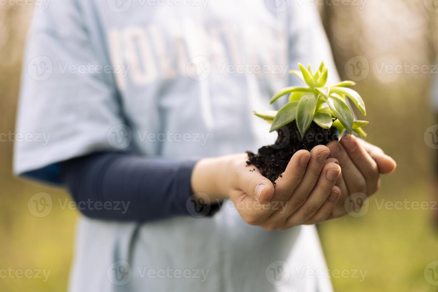 Young volunteer holding a small green sprout in her hands, symbolizing natural environment conservation and growth. Little girl working on preserving the forest habitat, save the planet. Close up. photo