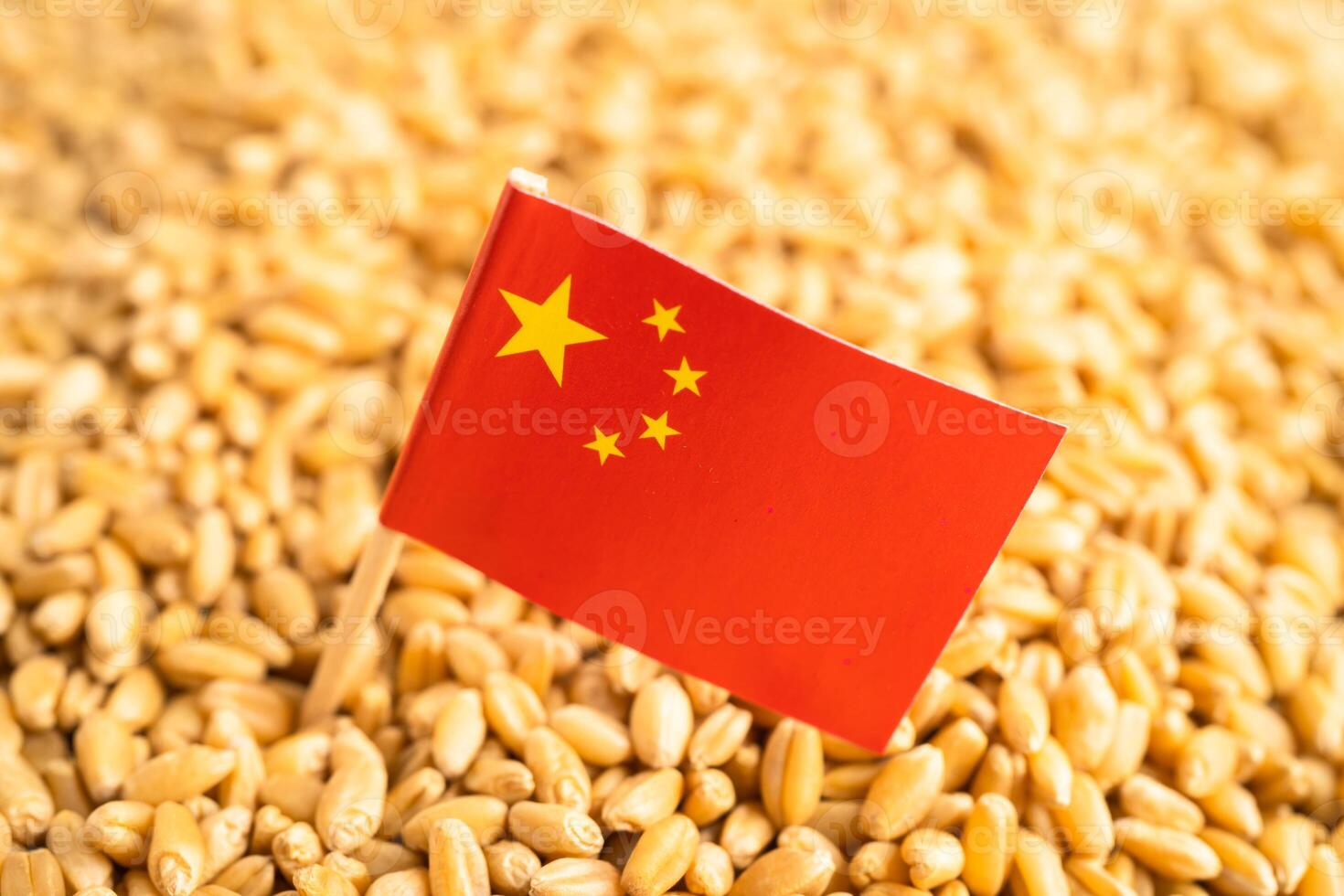 Grain wheat with China flag, trade export and economy. photo