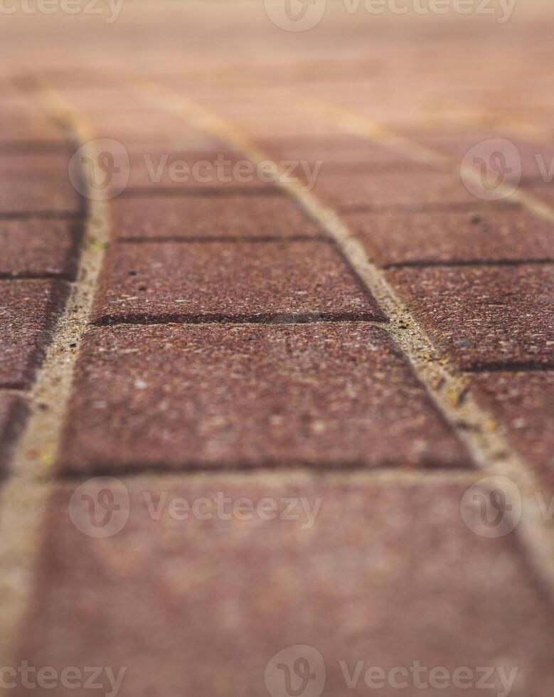 Close up shot of the interlocked bricks of the pavement surface. Texture photo