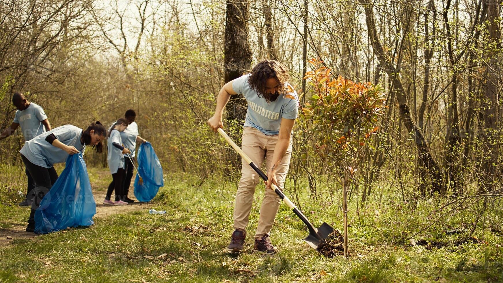 Young man covering base and hole after planting small tree in the woods, working with shovel to grow seedlings and preserve forest habitat. Activist does voluntary work for the planet. Camera B. photo