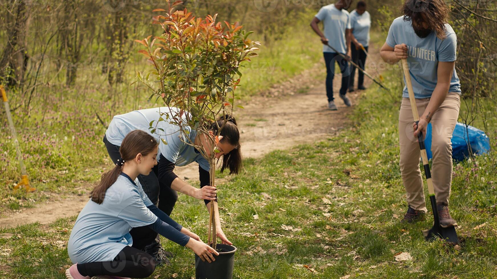 Team of volunteers growing the natural habitat in a forest, planting trees and preserving nature by taking action and fighting to save the planet. Activists doing community service. Camera A. photo